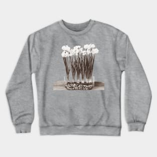 Paperwhites Crewneck Sweatshirt